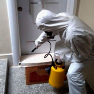 Apartman İlaçlama